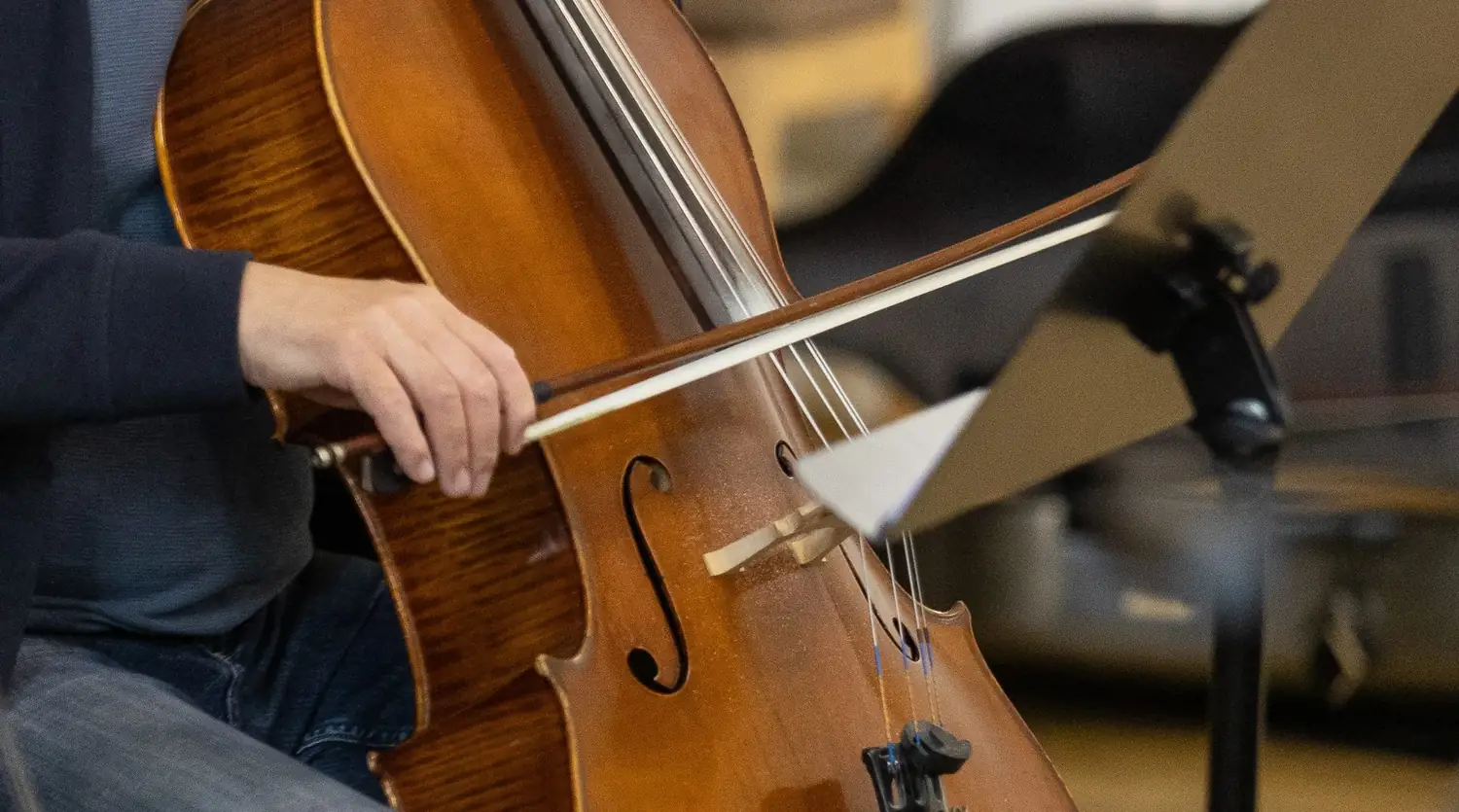 Cello bow on the strings