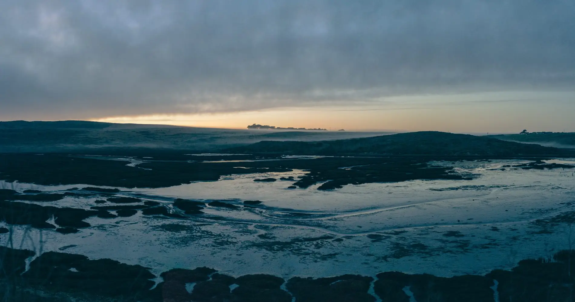 Marshland at dusk
